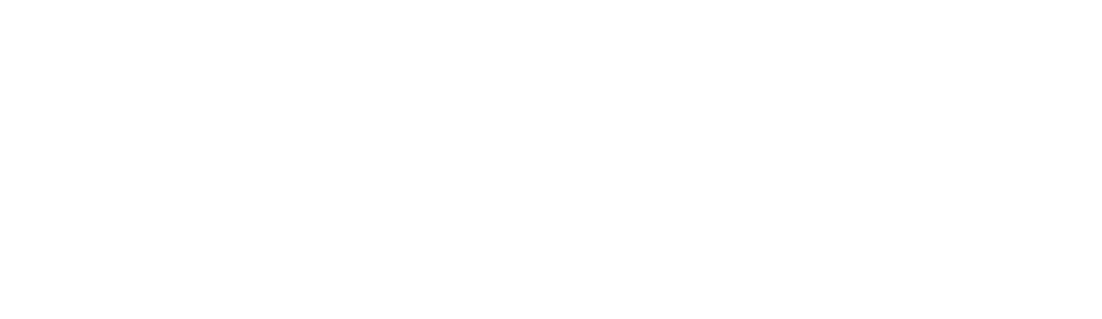 Company Profiling and Branding