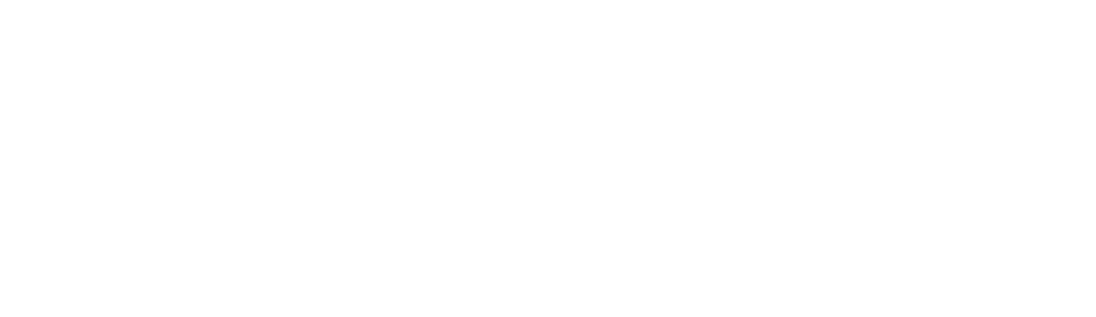 Website Development